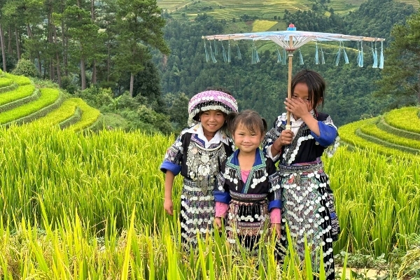 11 Days / 10 Nights -Sapa TuLe  MuCangChai MocChau PuLuong - photo 9